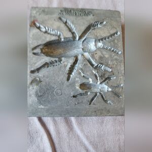 Bug creeple people mold